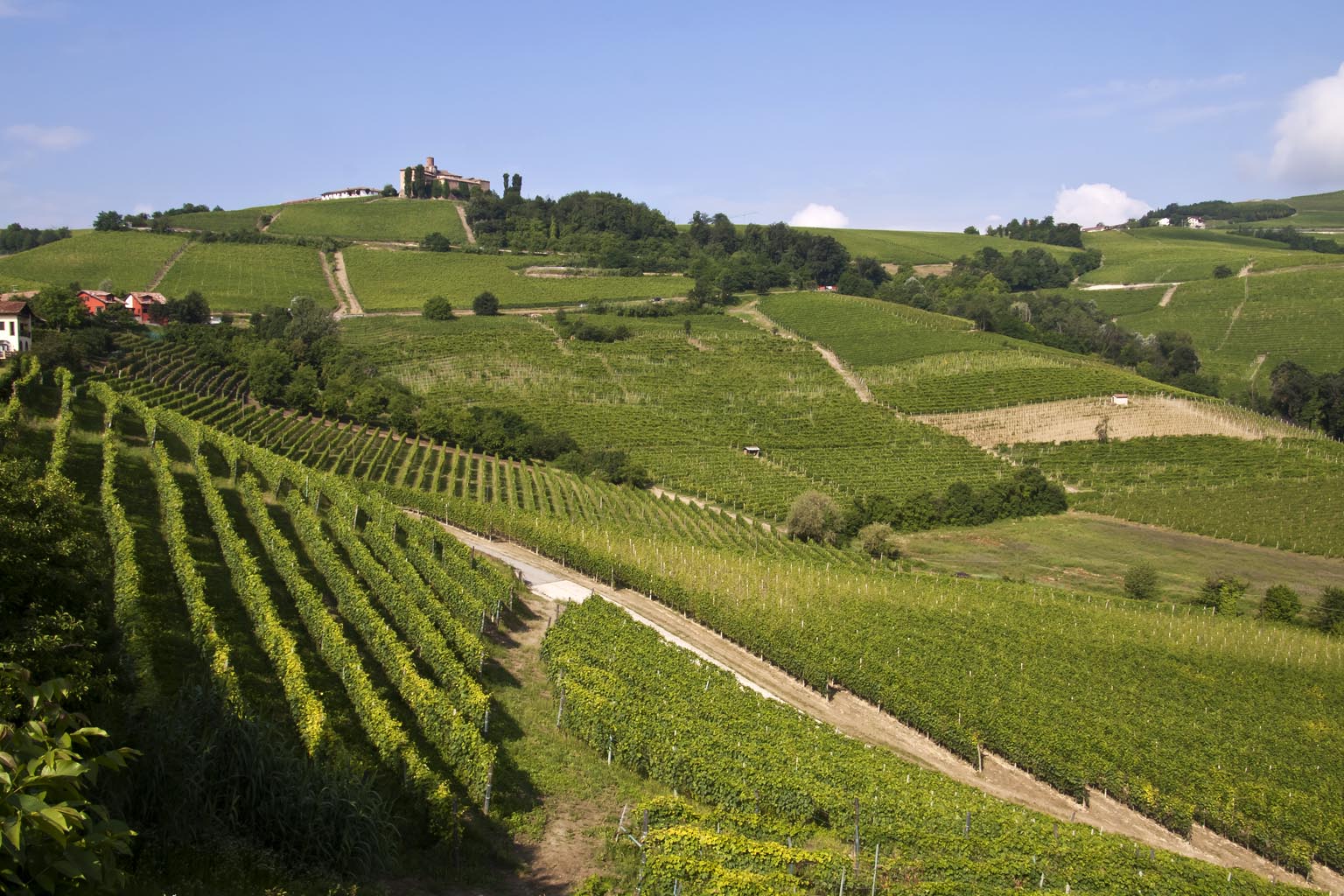 Langhe landscape